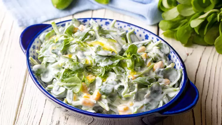 Yoğurtlu Semizotu Salatası